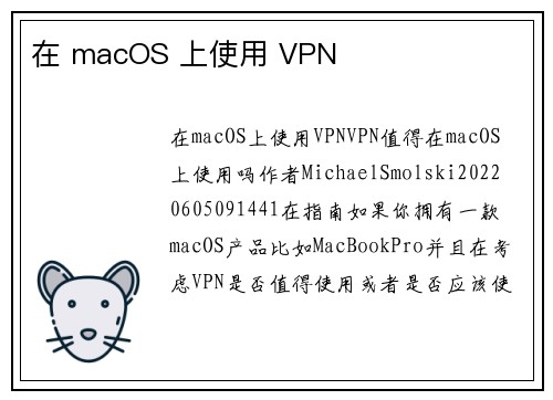 在 macOS 上使用 VPN 